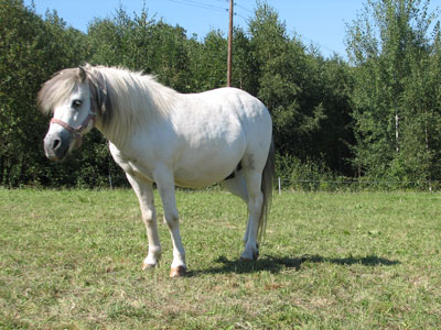 Image Image