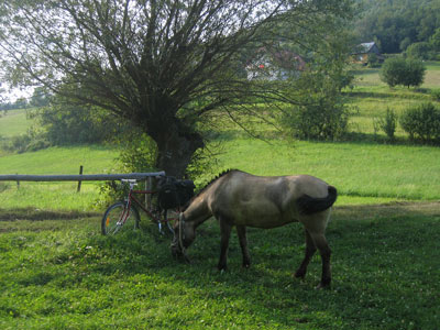 Image Image
